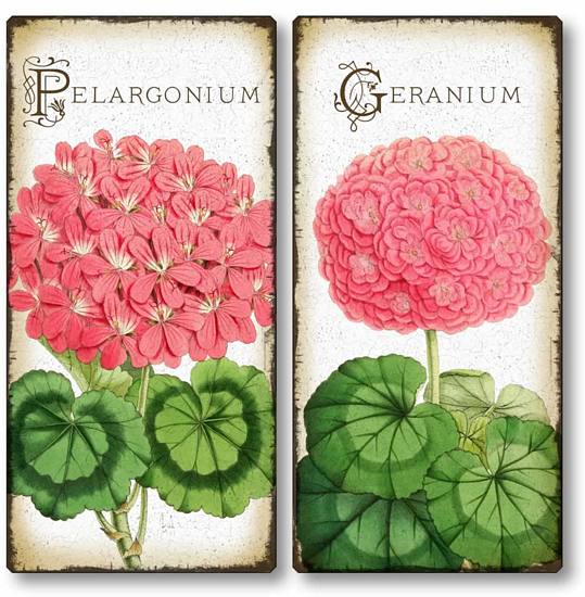 Item 4122 Set of 2 Antique Style Geranium Flower Plaques