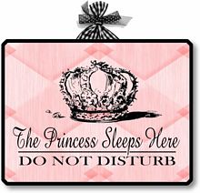 Item 08312 The Princess Sleeps Here Plaque