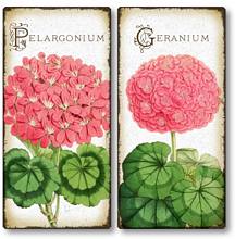Item 4122 Set of 2 Antique Style Geranium Flower Plaques